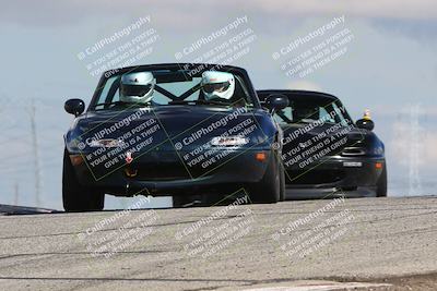 media/Mar-31-2024-Speed Ventures (Sun) [[a3b2bf813d]]/Purple/Session 2 (Grapevine)/